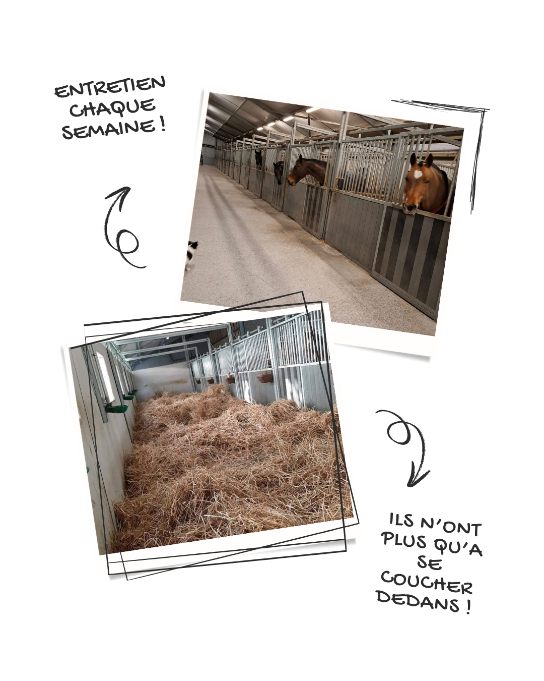 Grey Minimal Photo Collage Portrait Instagram Post(1)